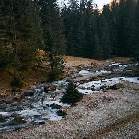 Stelza Nature